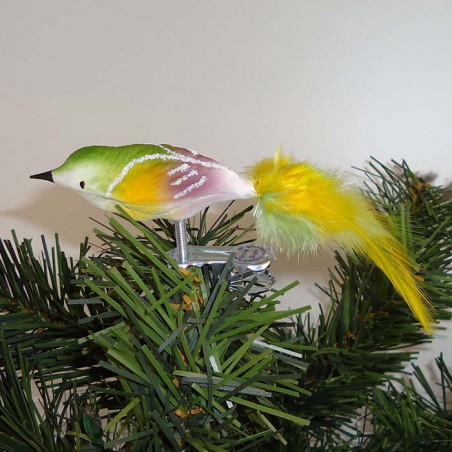 Glasvogel, samt weiß, Gold-grün-Orchidee mit Naturfedern