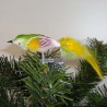 Glasvogel, samt weiß, Gold-grün-Orchidee mit Naturfedern