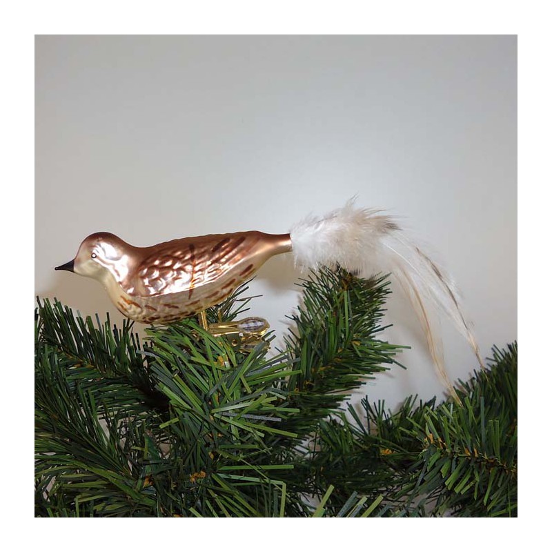 Glasvogel, Singdrossel K & G Naturvögel mit Naturfedern
