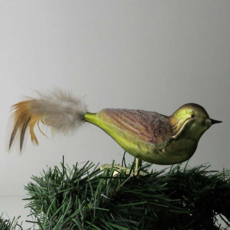 Glasvogel, mit gedrehten Kopf, mit Naturfedern
