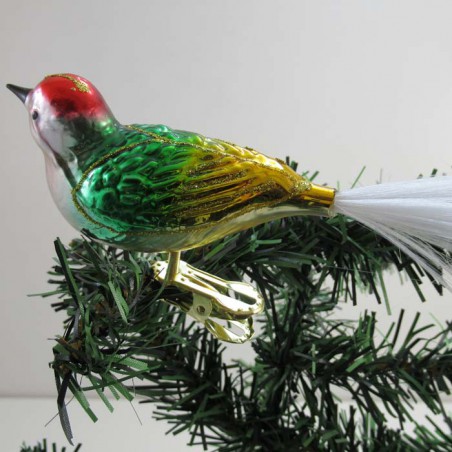 Glasvogel, mit gedrehten Kopf,   und Glasfaser Schwanz