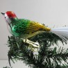 Glasvogel, mit gedrehten Kopf,   und Glasfaser Schwanz