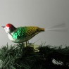 Glasvogel, mit gedrehten Kopf,   und Glasfaser Schwanz