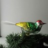 Glasvogel, mit gedrehten Kopf,   und Glasfaser Schwanz