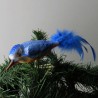 Glasvogel Eisvogel, mit Naturfedern