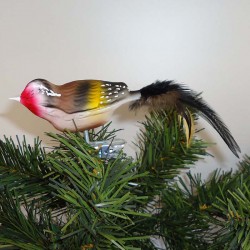 Glasvogel, Stieglitz K & G Naturvögel mit Naturfedern