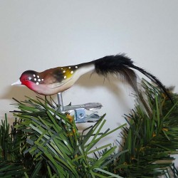 Glasvogel, Stieglitz K & G Naturvögel mit Naturfedern