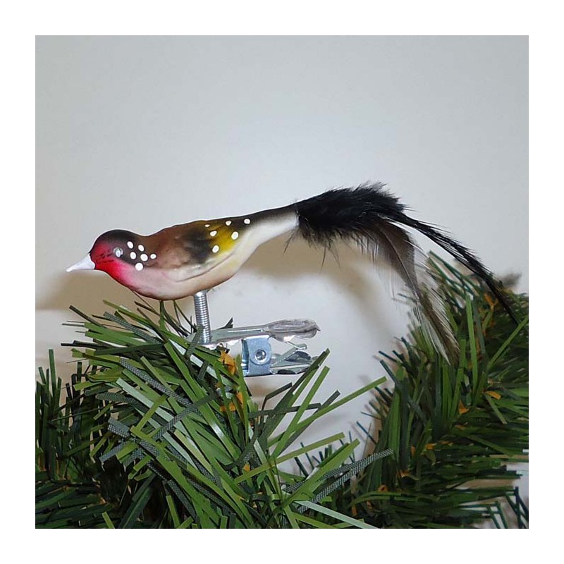 Glasvogel, Stieglitz K & G Naturvögel mit Naturfedern