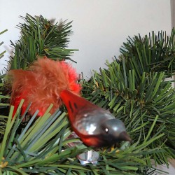 Glasvogel Gartenrotschwanz K & G Naturvögel mit Naturfedern