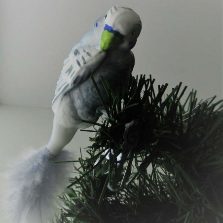 Glasvogel, Wellensittich, grau, mit Naturfedern