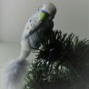 Glasvogel, Wellensittich, grau, mit Naturfedern