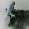 Glasvogel, Wellensittich, grau, mit Naturfedern