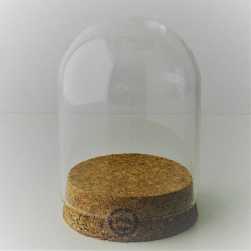 Glas Dom 80x65mm mit Kork Boden