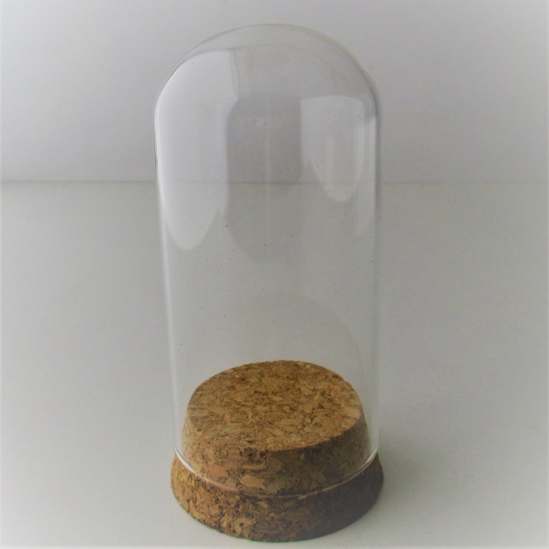 Glas Dom 100x50mm Glocke mit Kork Sockel